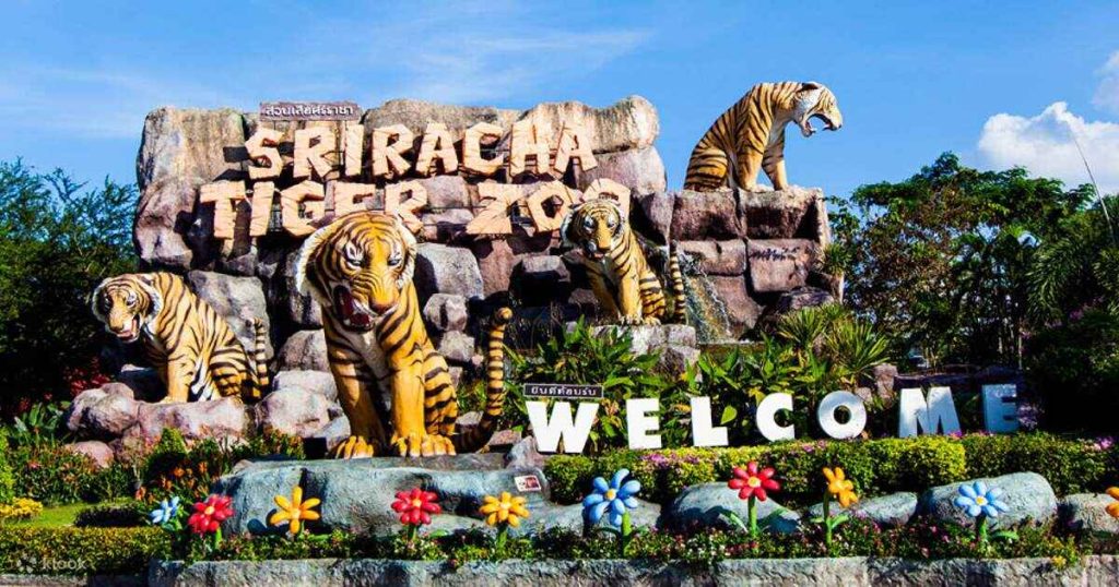 Sriracha Tiger Zoo Entry Ticket in Pattaya, Thailand