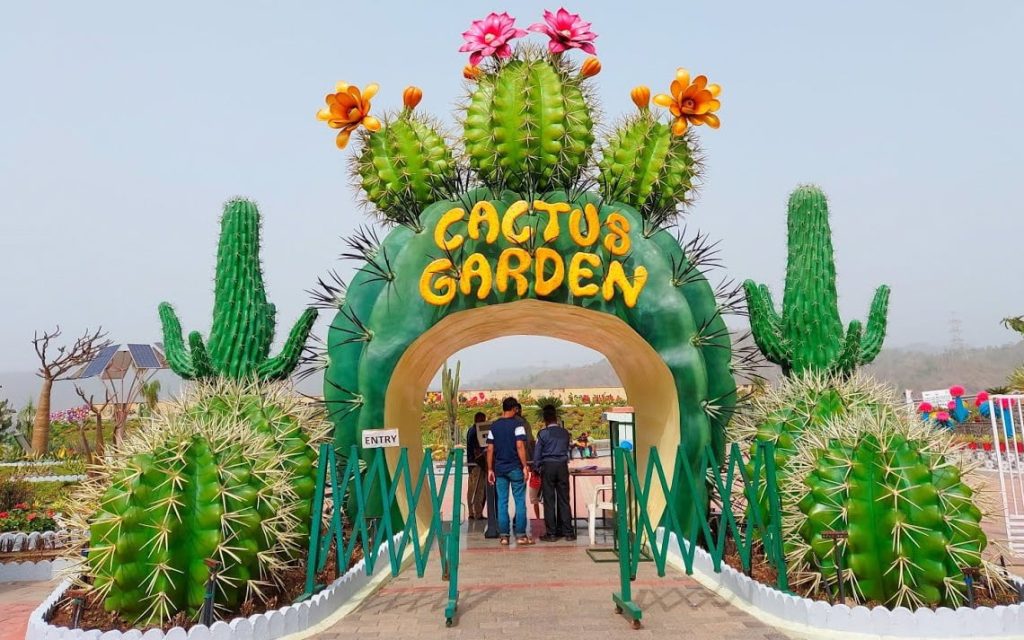 21-Cactus-Garden