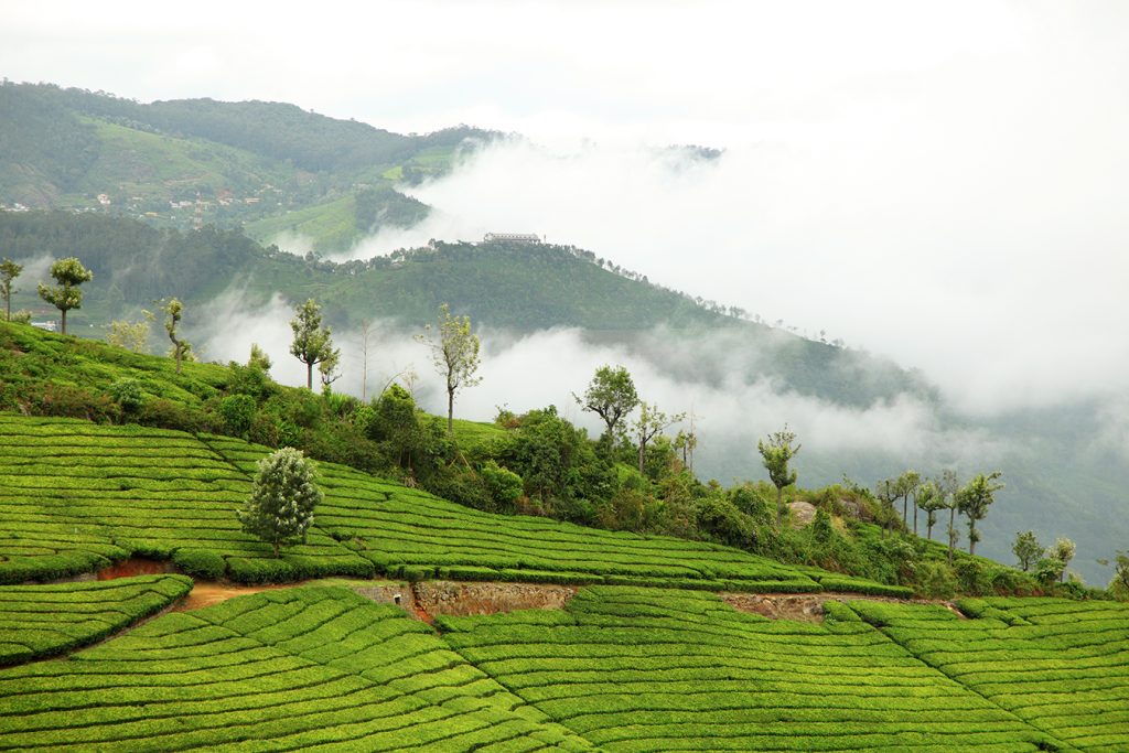 Coonoor