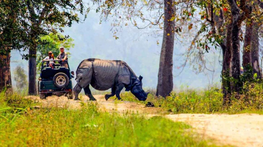 Jeep-Safari-Kaziranga-Assam-8-1160×650 (1)