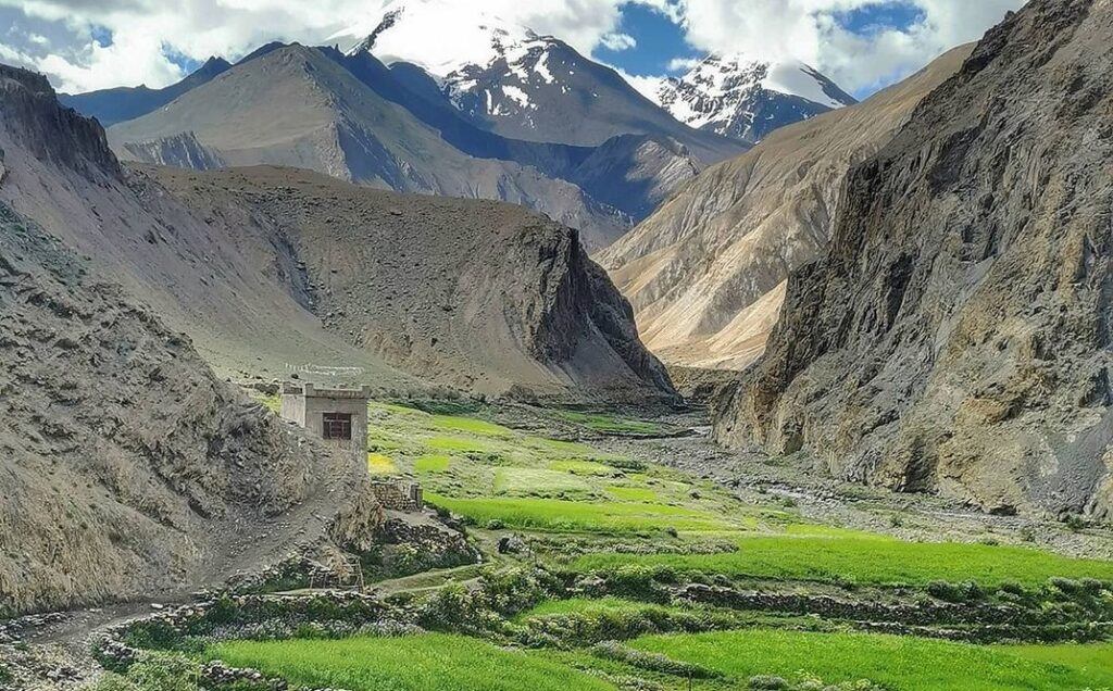 Markha-Valley-Trek-Ladakh-1024×636