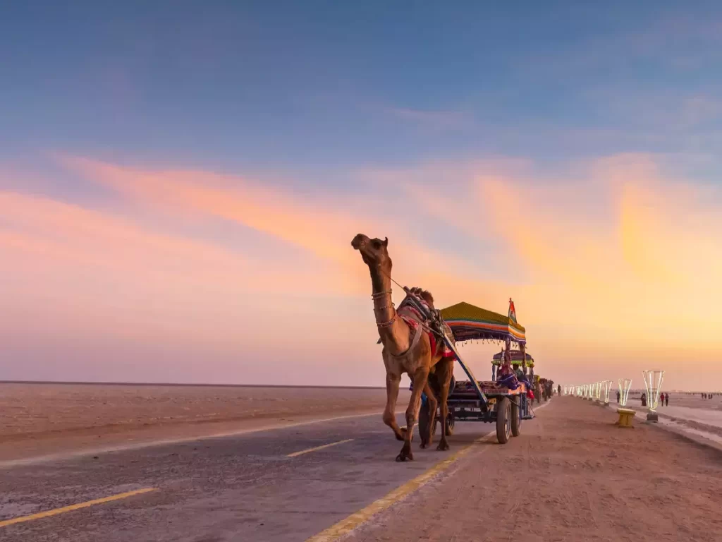 Rann-of-Kutch