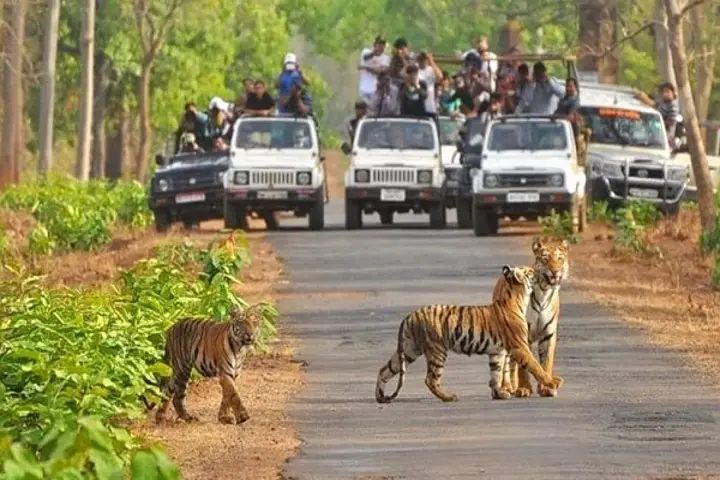 Similipal-Tiger-Reserve