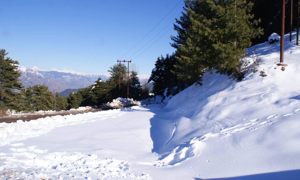 Snow-Covered-Road-Patnitop