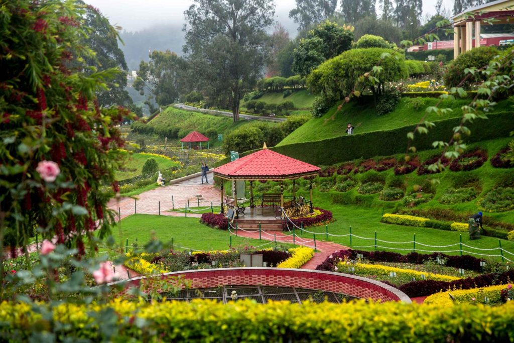 Top-20-Places-to-Visit-in-Ooty-in-2023-That-You-Never-Miss-in-Lifetime-scaled (1)