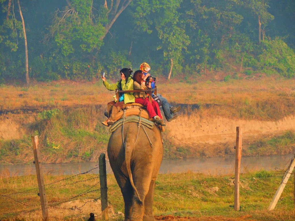 Chitwan-National-Park (1)