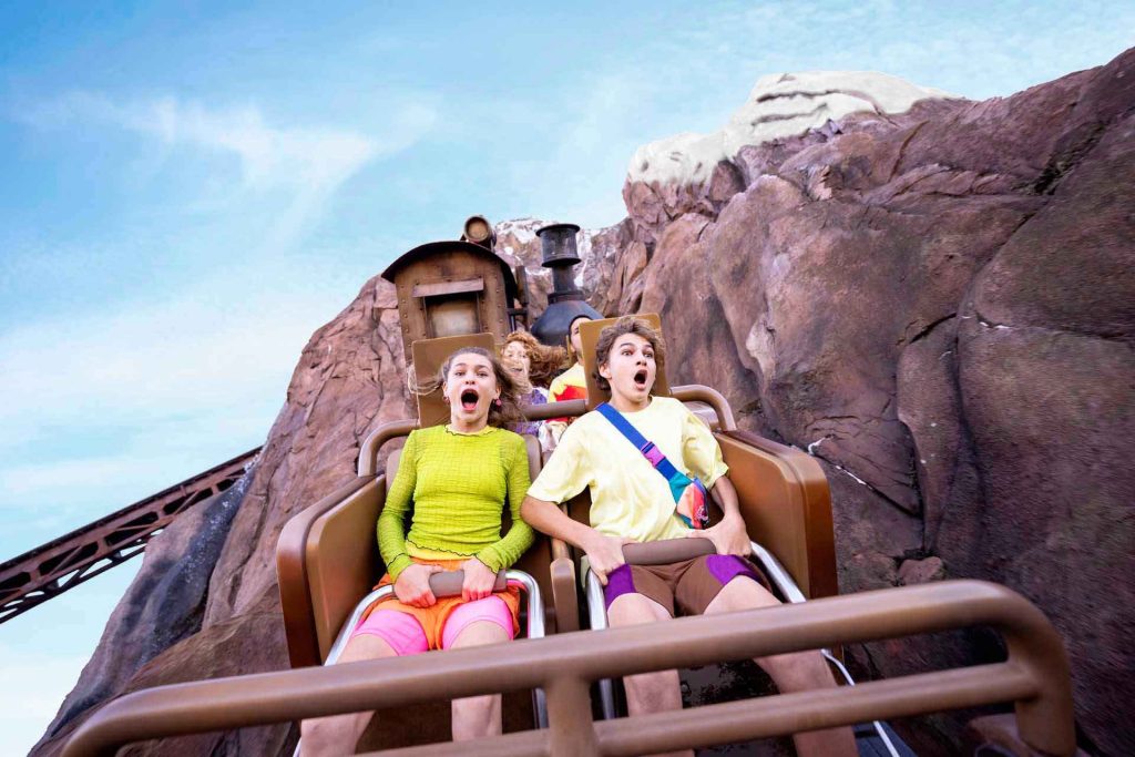 disney-world-animal-kingdom-everest-coaster (1)